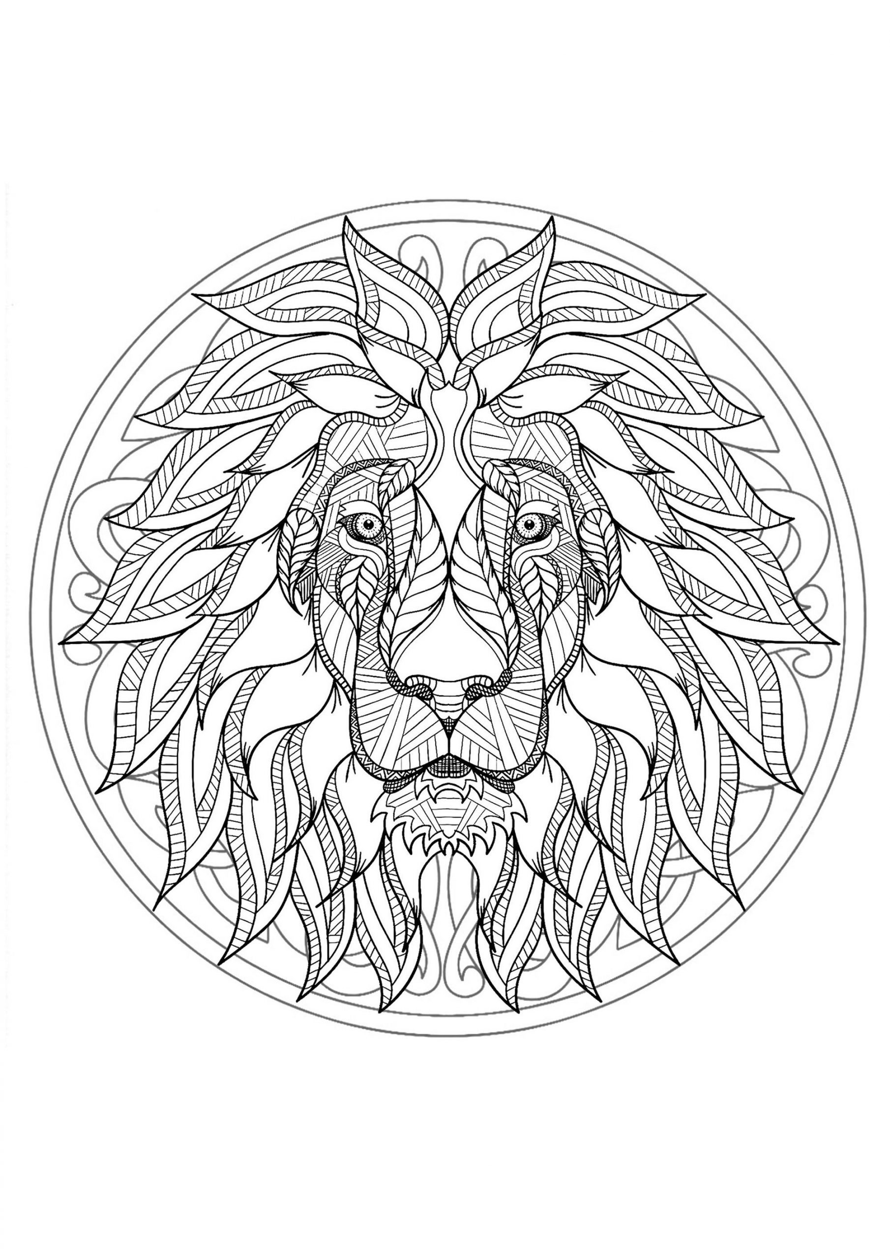 image=animals mandala lion head 1 1