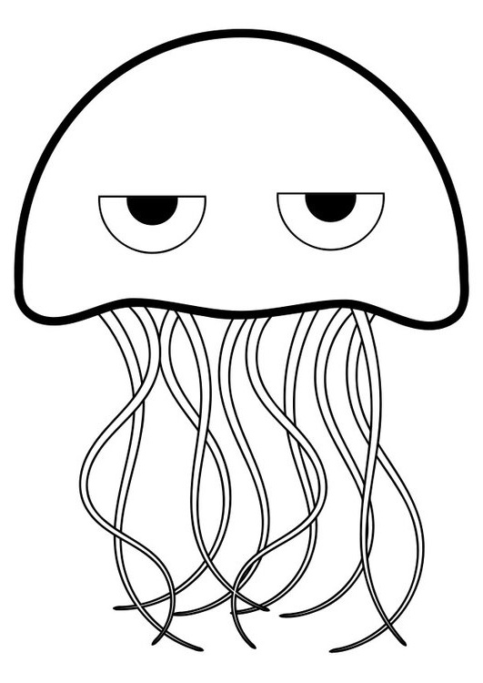 coloriage meduse i