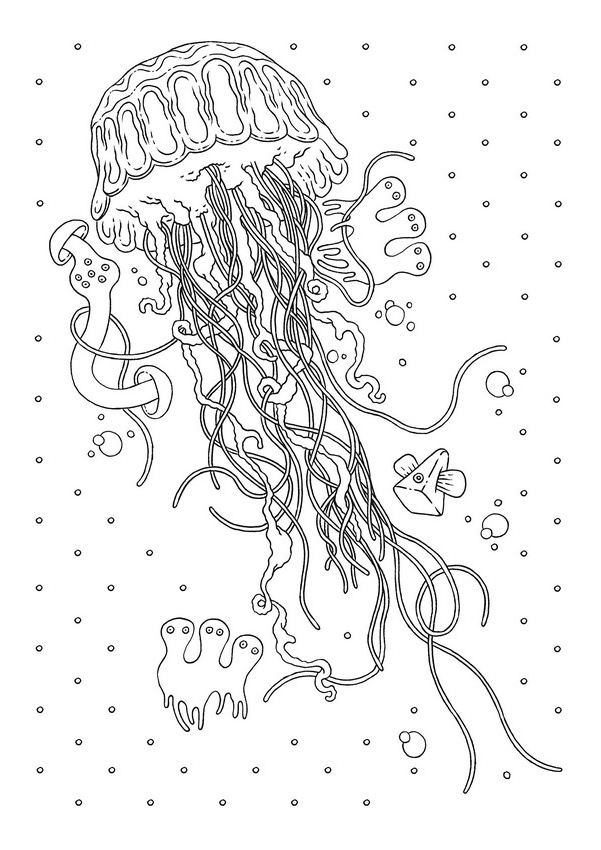 adult coloring page animals jellyfish 1