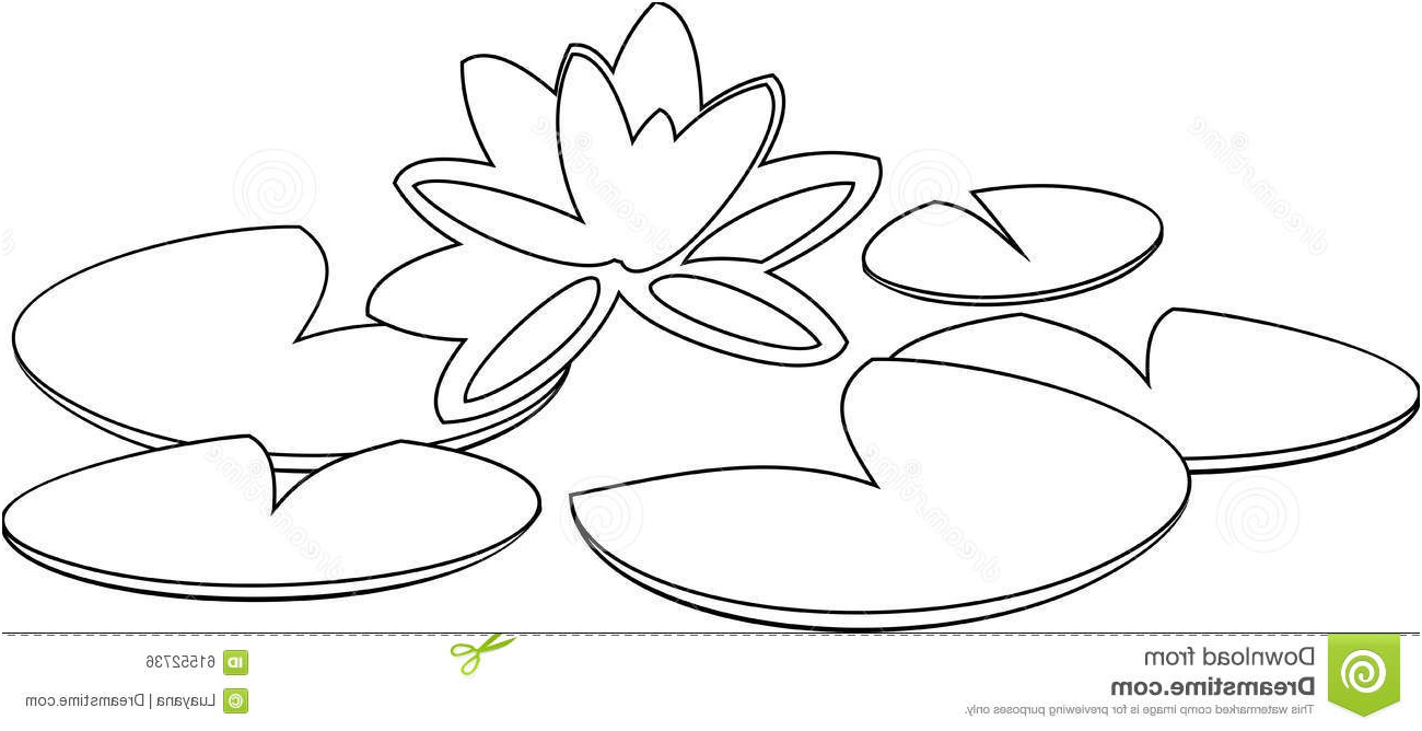 stock photo coloring water lily page image