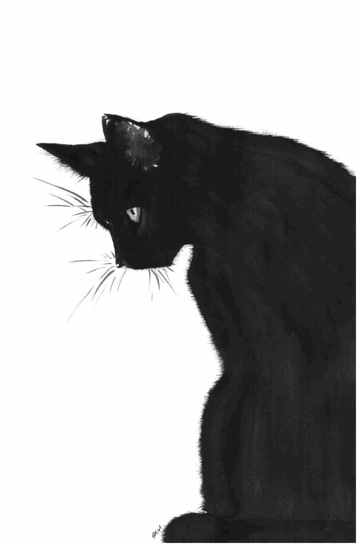 dessin facile de chat noir