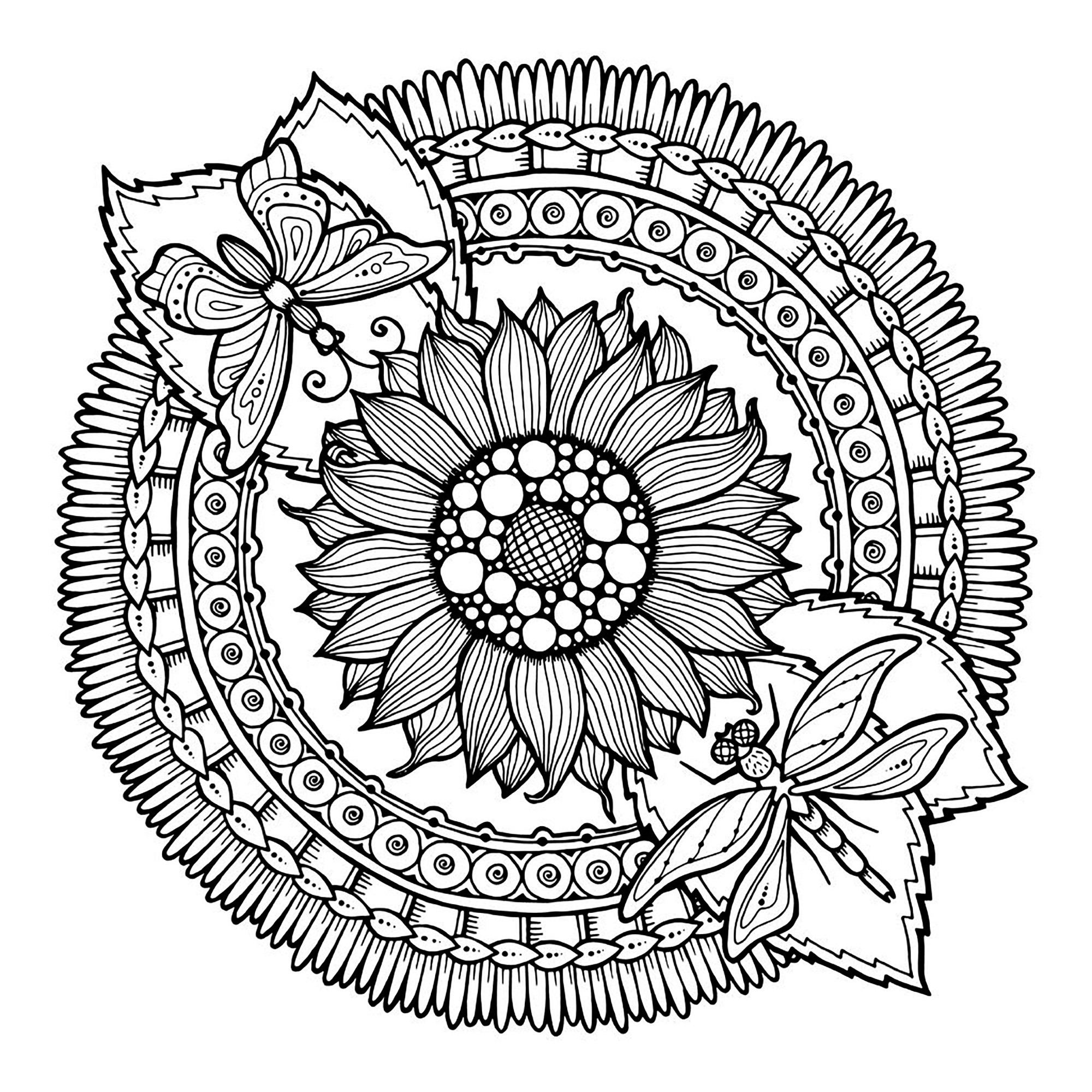 image=mandalas coloriage facile mandala fleurs et papillon 1