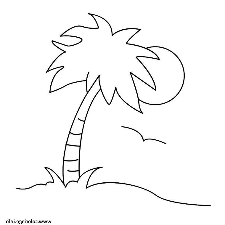palmier 3 coloriage dessin