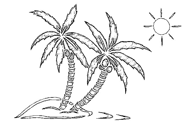 dibujos de palmeras en la playa TX8aoKzEj
