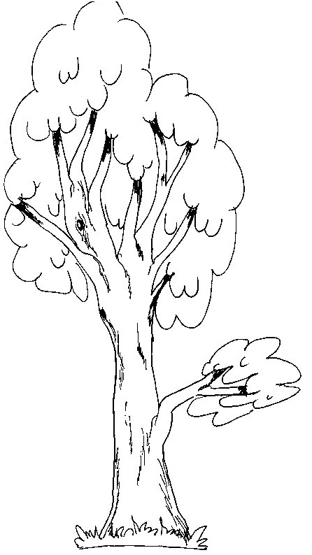 arbre sans feuille coloriage beau collection mod les de dessins imprimer pour gommettes blog de ma