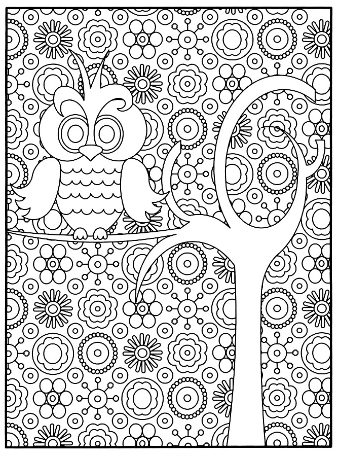 3 image=animaux coloriage adulte chouette 1