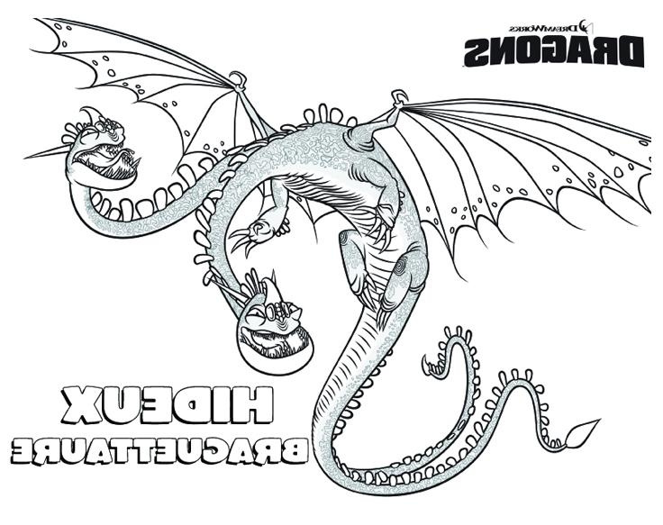 coloriage dragons 3D hideux braguettaure