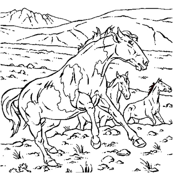 cheval sauvage coloriage