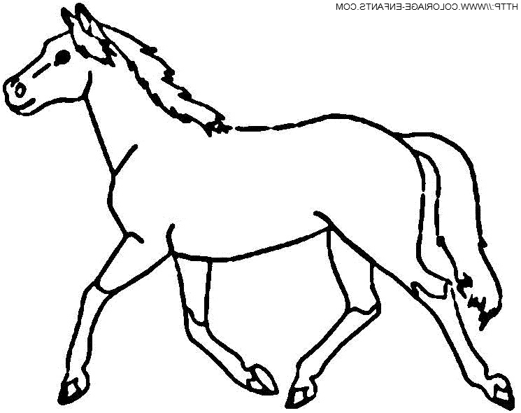 coloriage cheval