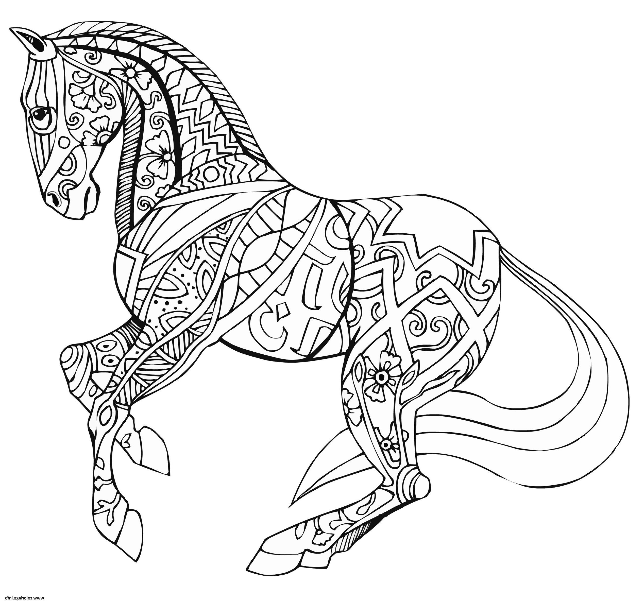 adulte cheval par selah works coloriage