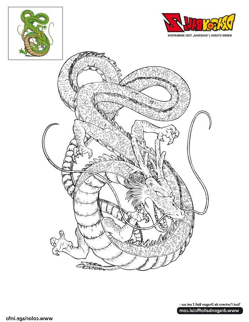 dbz shenron dragon ball z officiel coloriage