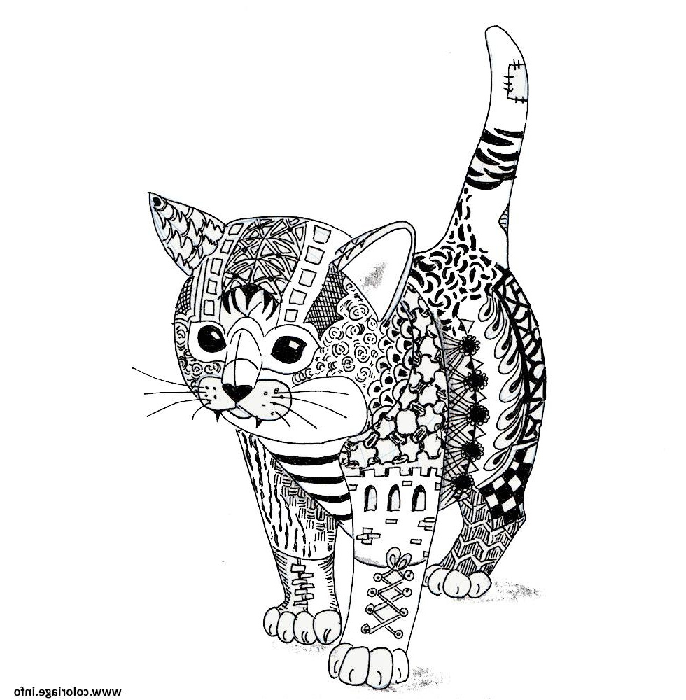 chaton chat adulte mandala coloriage dessin