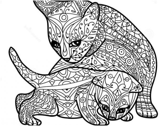 coloriage mandala a imprimer animaux best of 22 best coloriages anti stress images on pinterest
