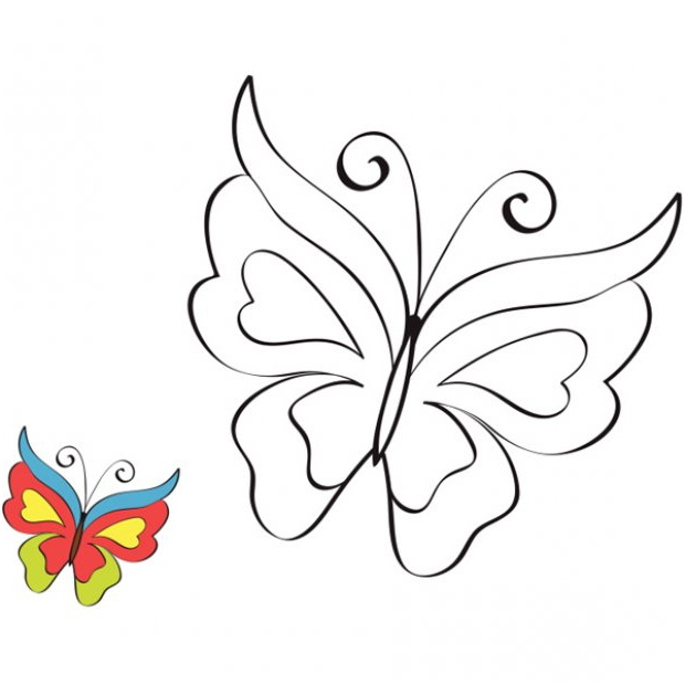 coloriage a imprimer cap sur le coloriage papillon