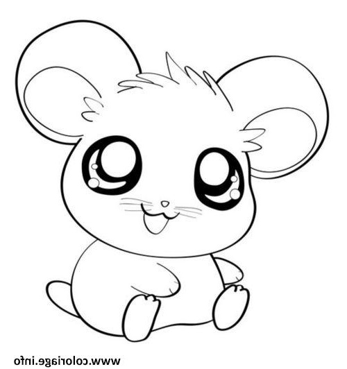 hamster cute mignon animaux coloriage dessin