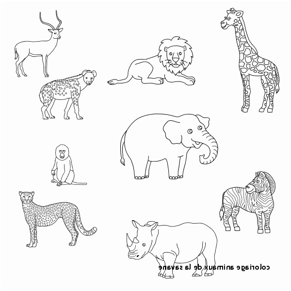 coloriage de animaux genial coloriage animeaux study42