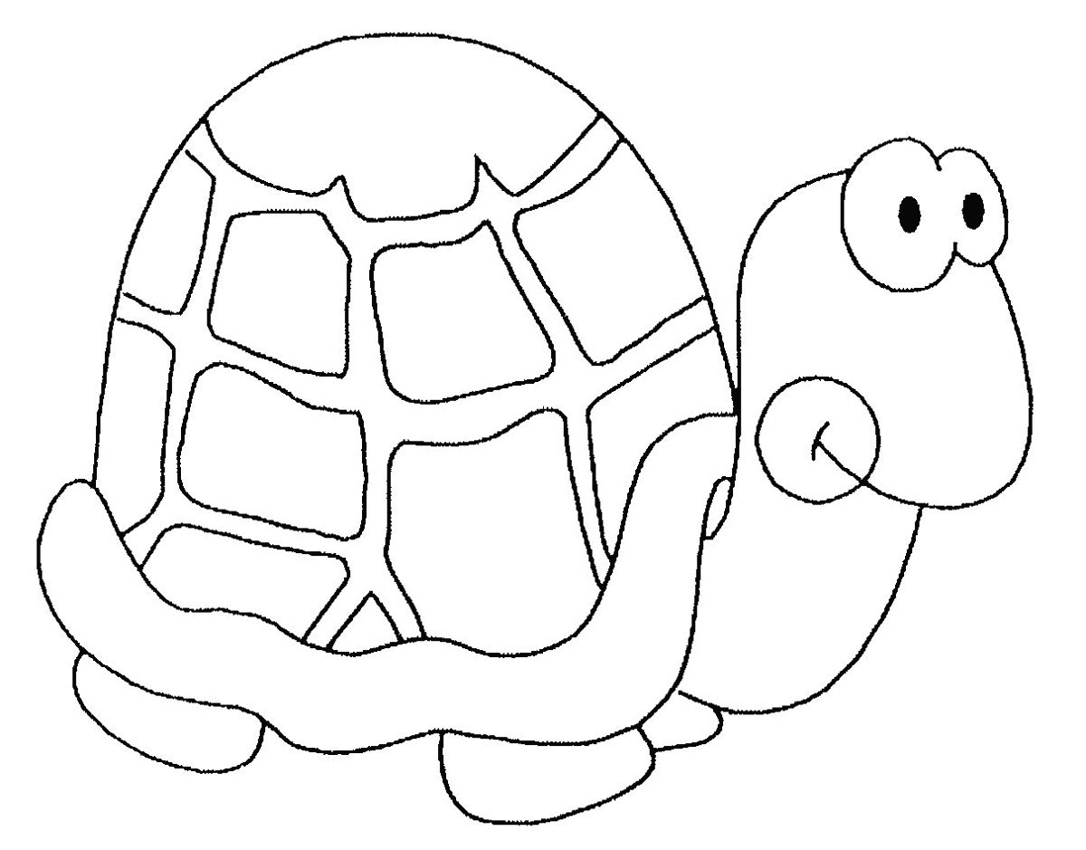dessin d une tortue de mer