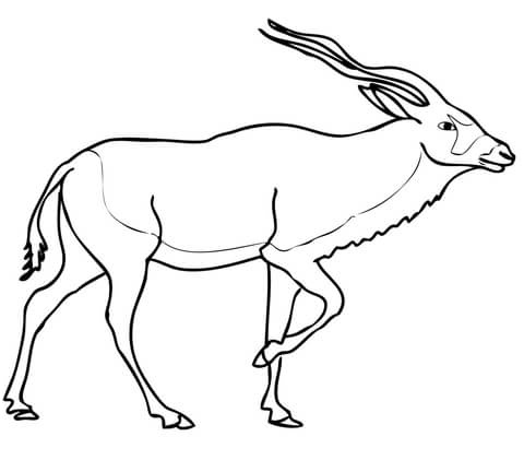 addax antilope