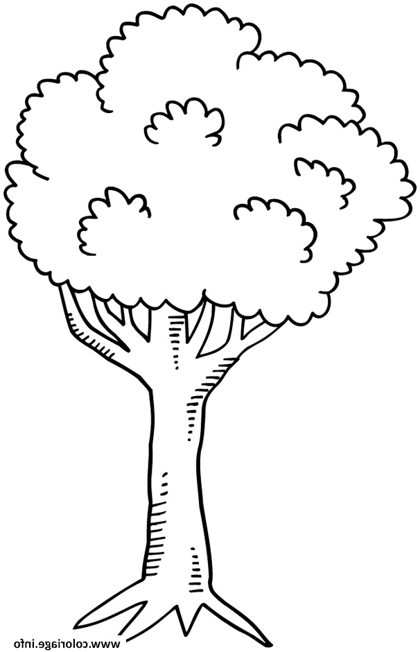 arbre 25 coloriage dessin