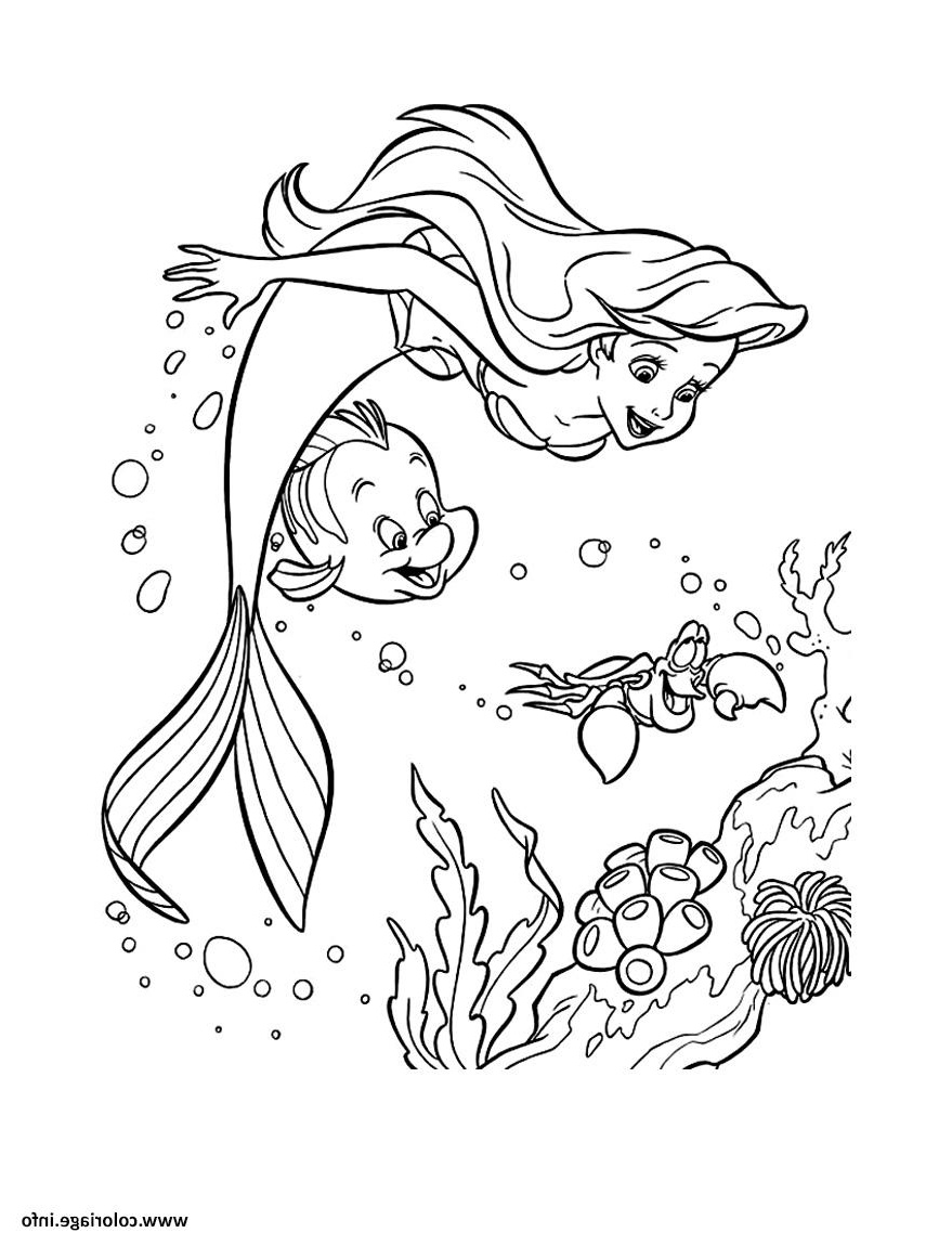 la petite sirene ariel en fond marin coloriage dessin