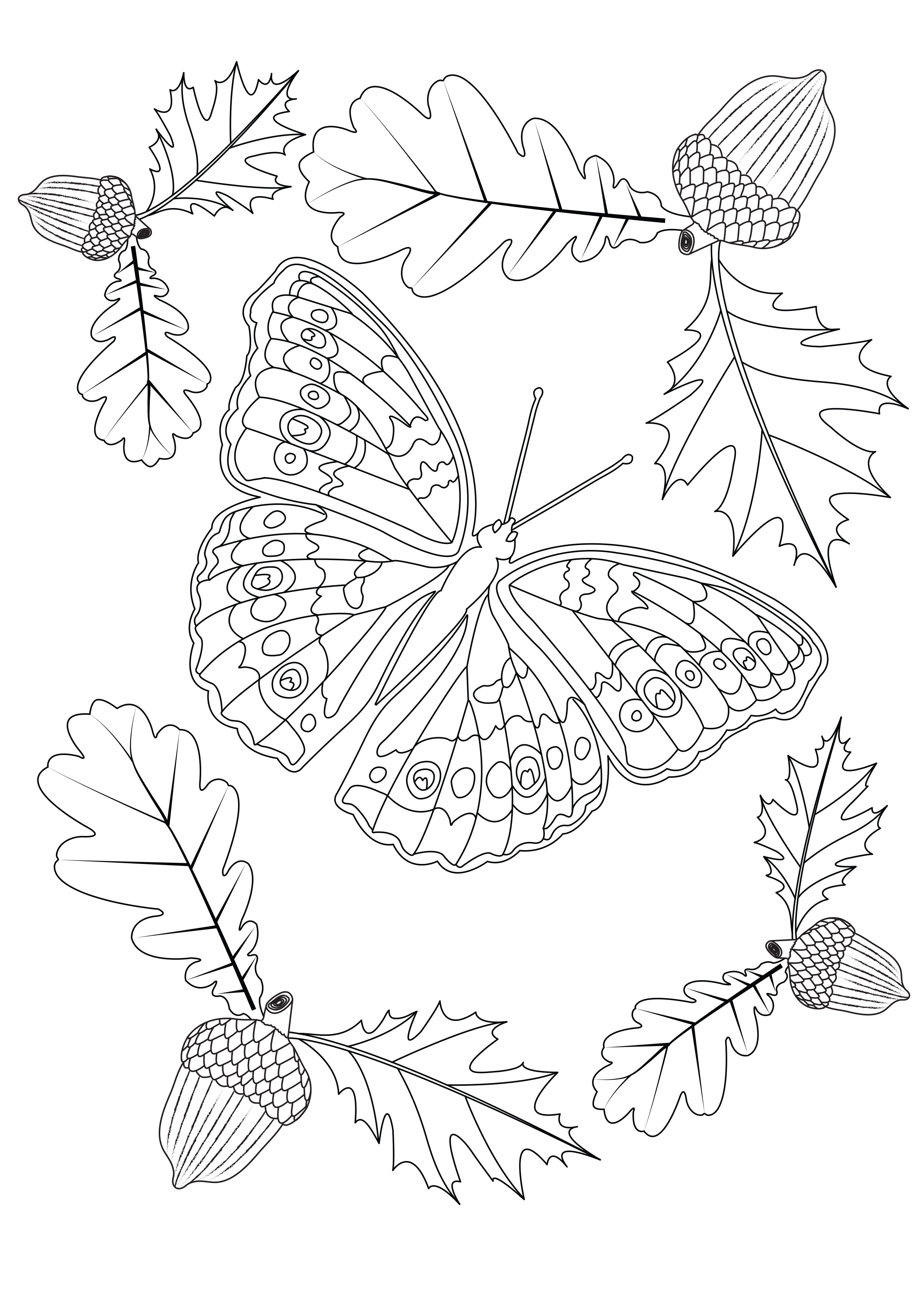 image=insectes coloriage papillon d automne 1