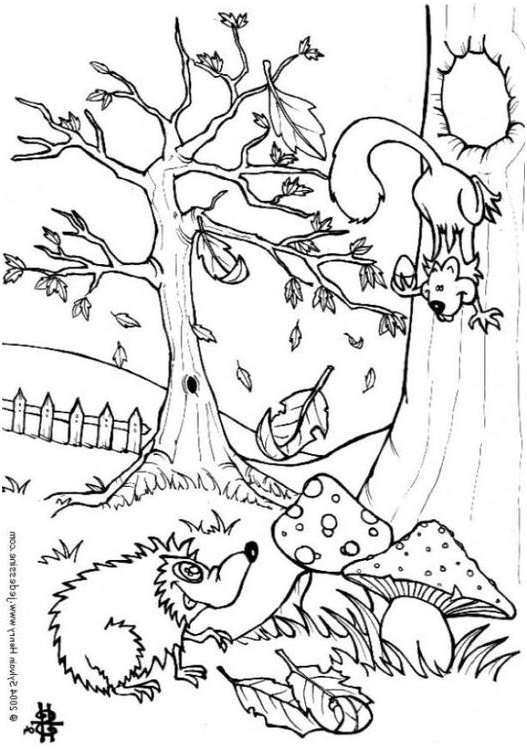 coloriage automne ecureuil et herisson i6444