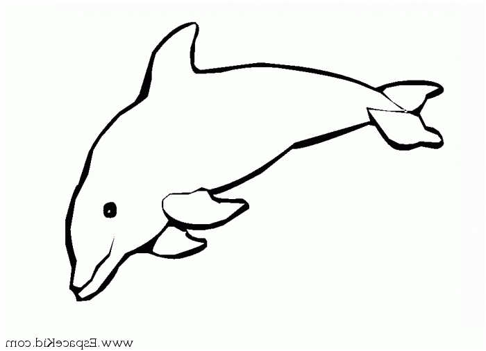 tag dessin de baleine imprimer
