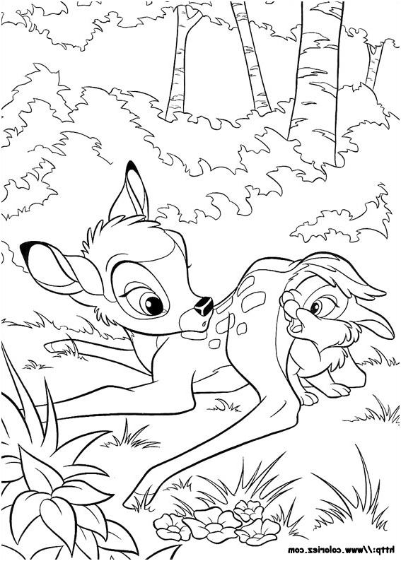 bambi joue avec pampan
