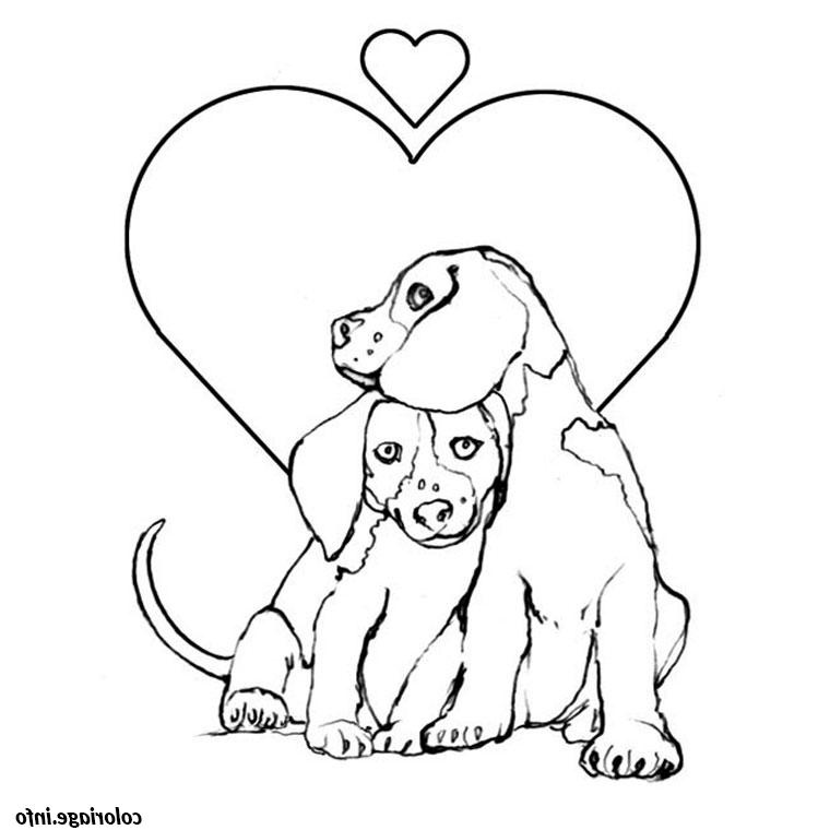 chien et chiot coloriage dessin 2172