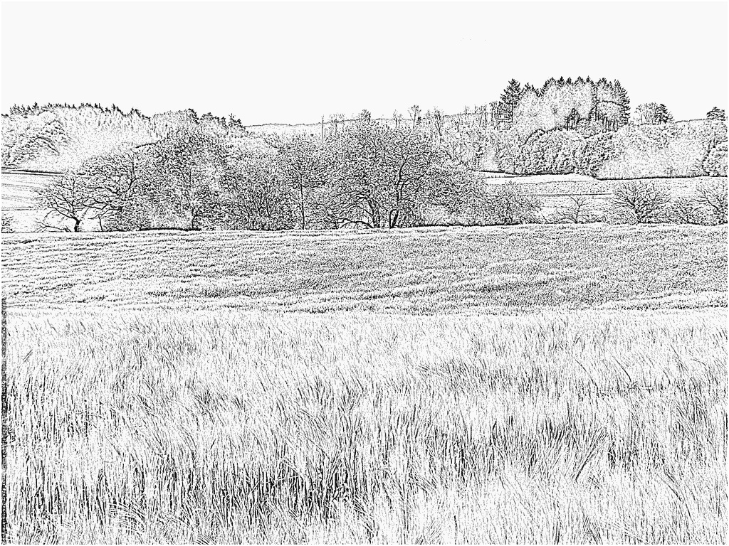 coloriage campagne 02 paysage