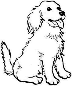 cavalier king charles spaniel coloring pages
