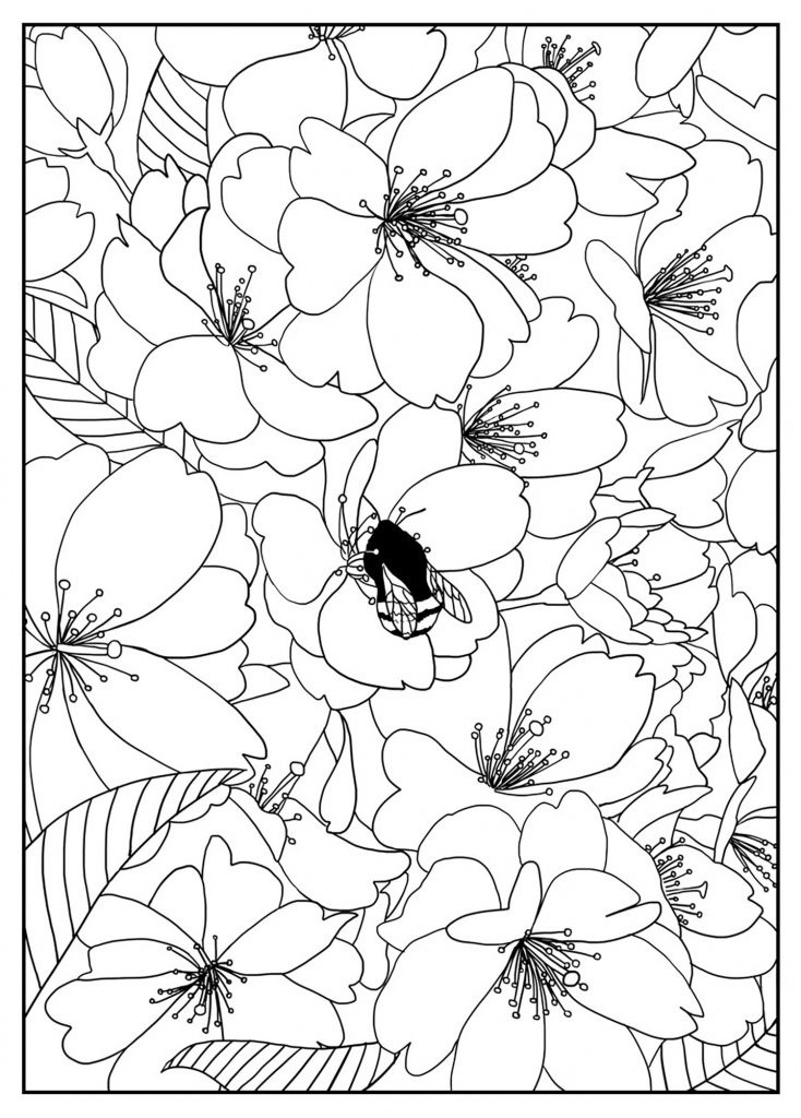 coloriage cerisier impressionnant photos free printable flower coloring pages for kids best