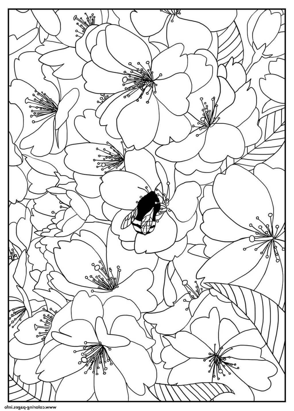 adult cherry tree by mizu printable coloring pages book 3578