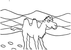 coloriage chameau desert 43 dessins de coloriage dromadaire imprimer