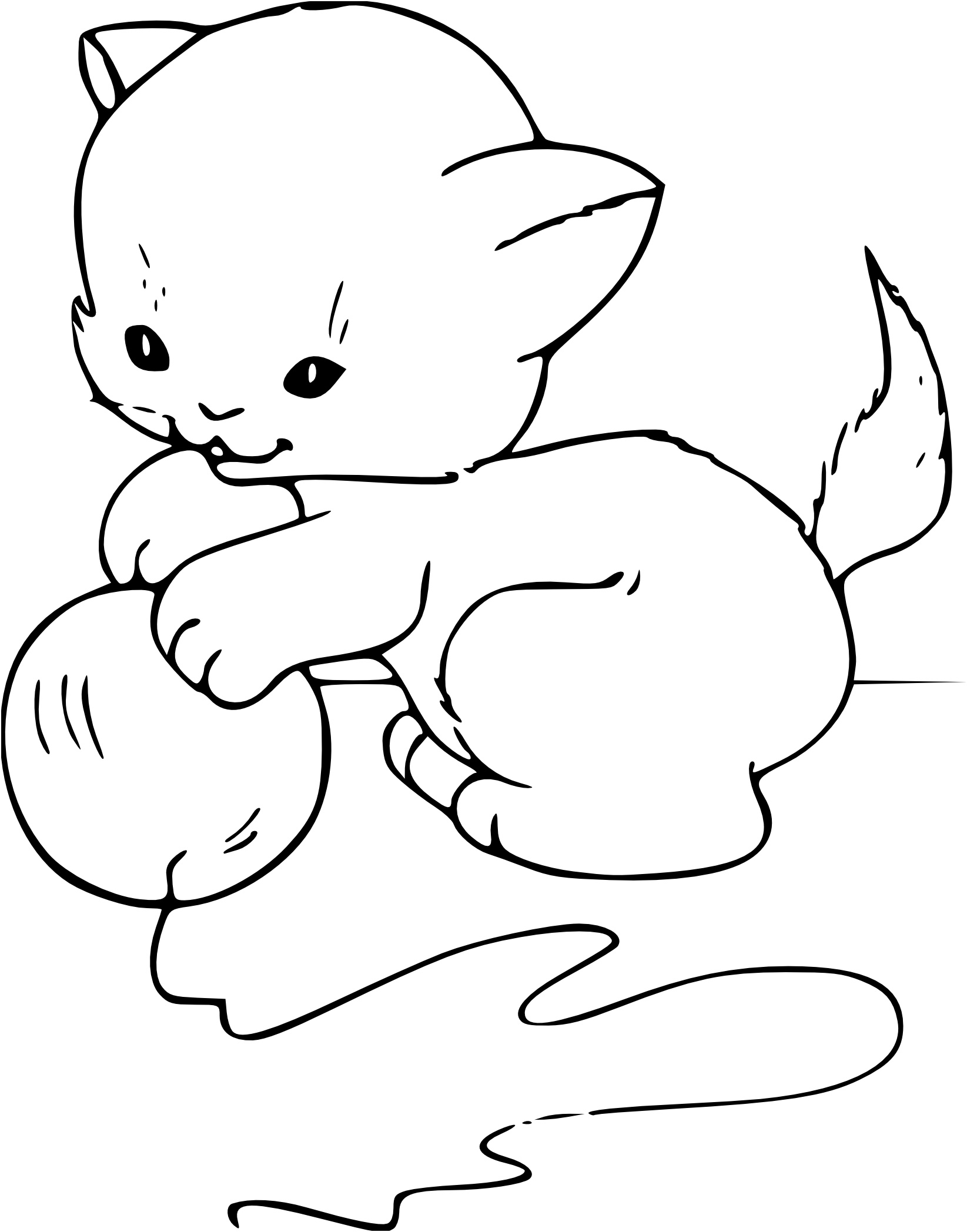 coloriage a imprimer bebe chat 2