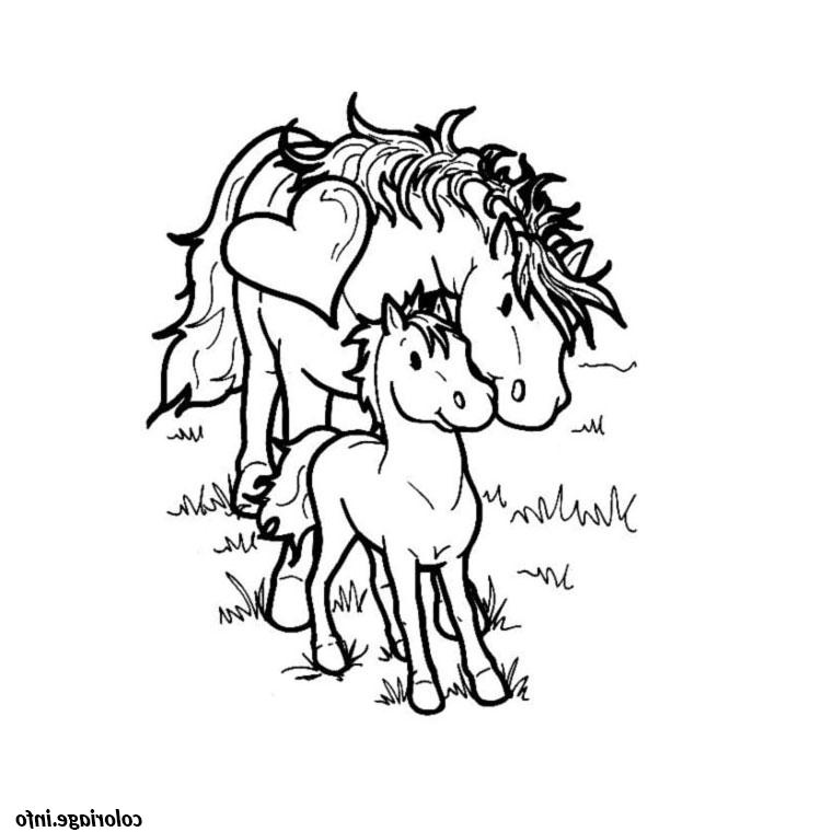 cheval et poney coloriage 1721