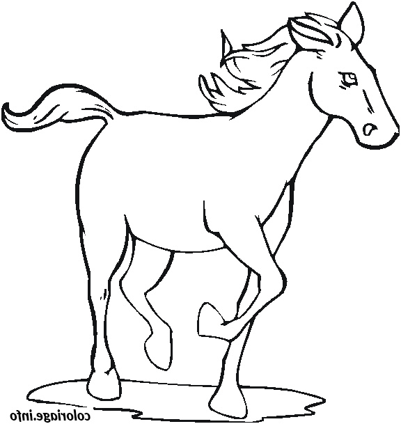 un cheval au galop coloriage dessin