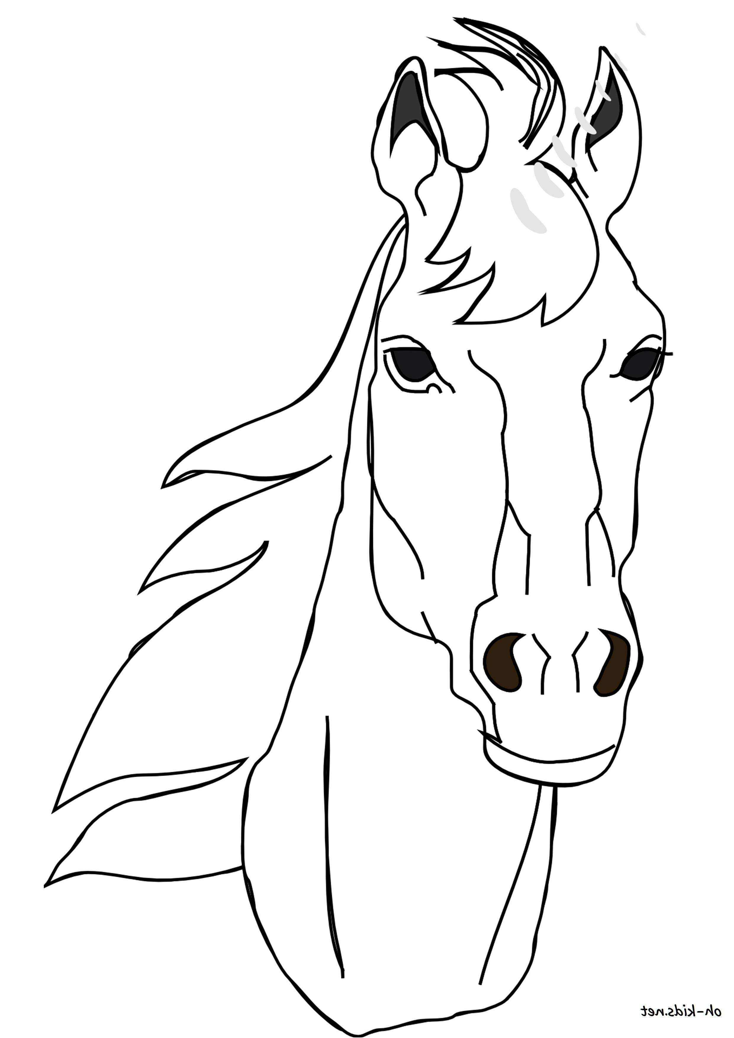 Coloriage Cheval Dressage Élégant Impressionnant 65 Dessin De Cheval Facile A Reproduire