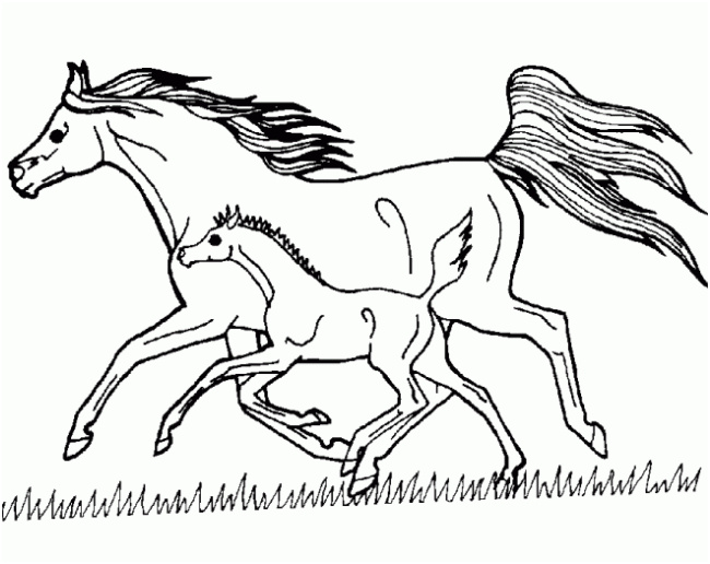 coloriage cheval en ligne