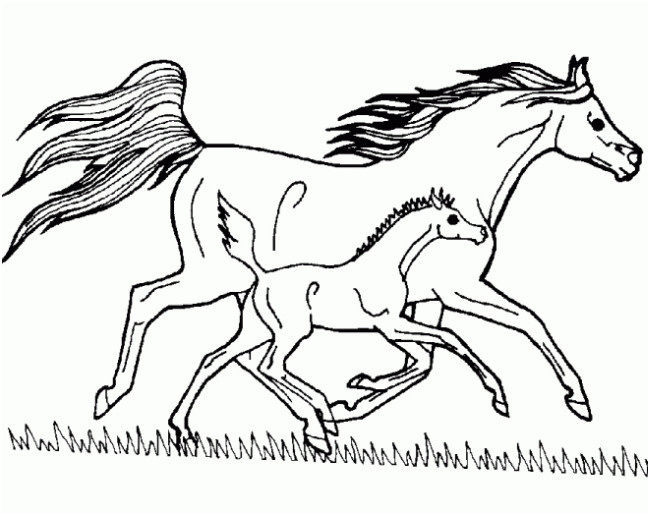coloriage cheval et poulain beau galerie coloriage cheval et poulain au galop dessin gratuit a imprimer