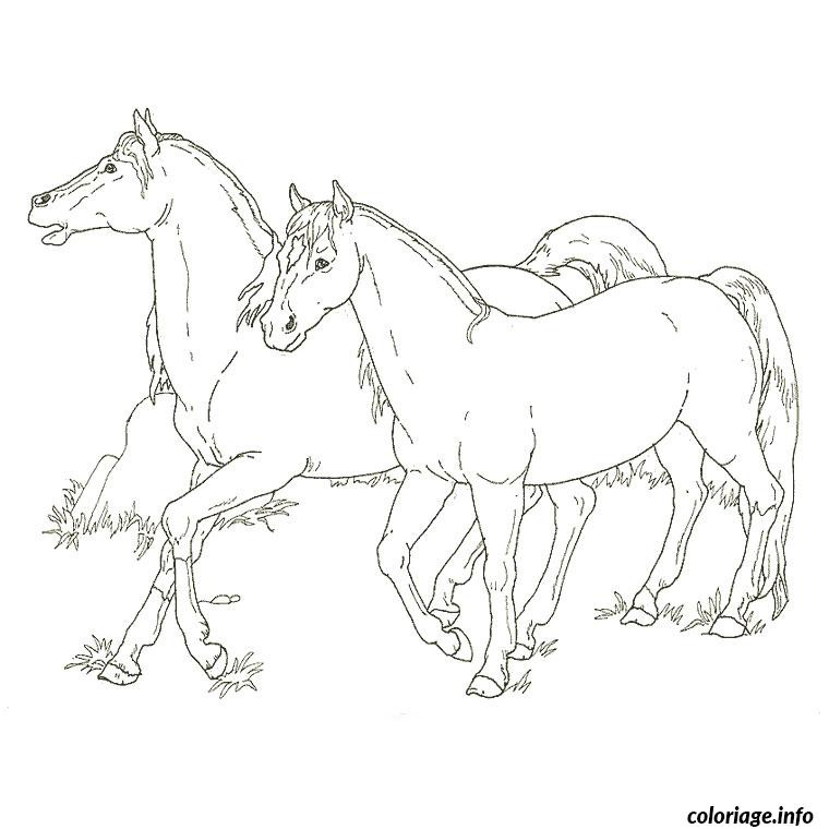 dessin de poulain cool photos coloriage cheval et poulain dessin