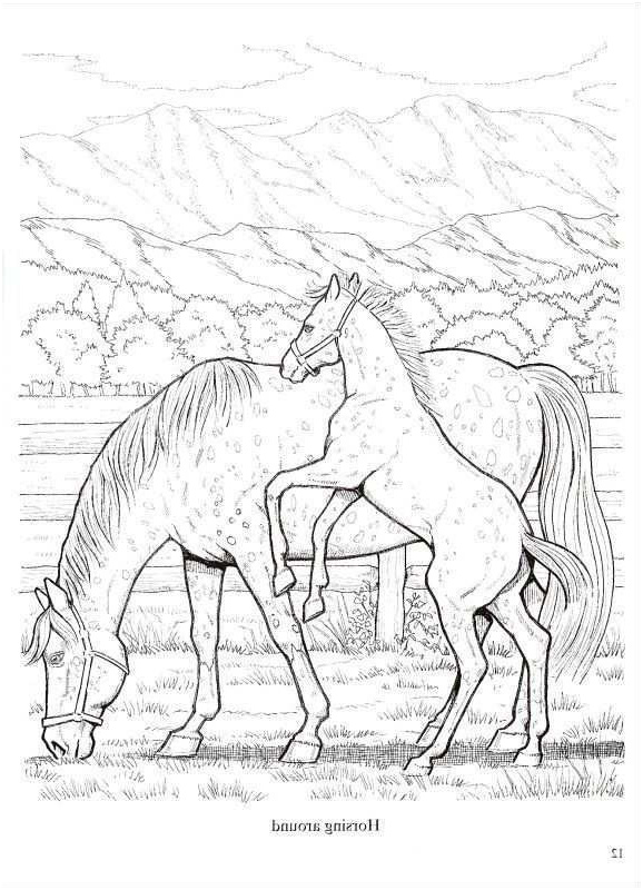 coloriage cheval cabre elegant coloriage cheval sauvage luxe coloriage chevaux licorne fresh etalon