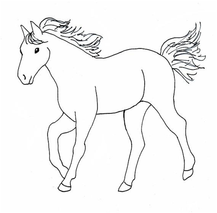 coloriage de chevaux 3