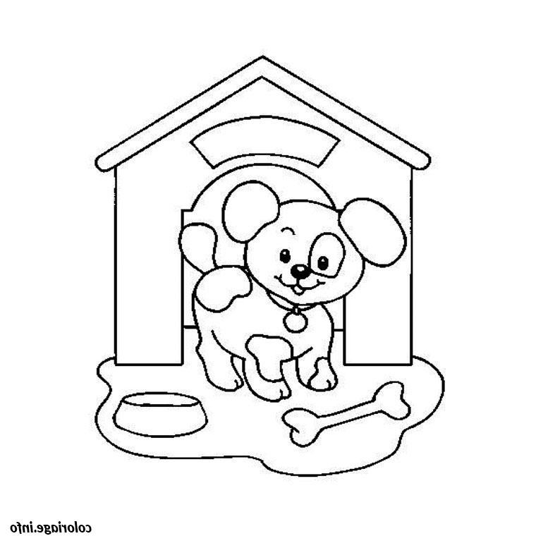 chiot coloriage 2163