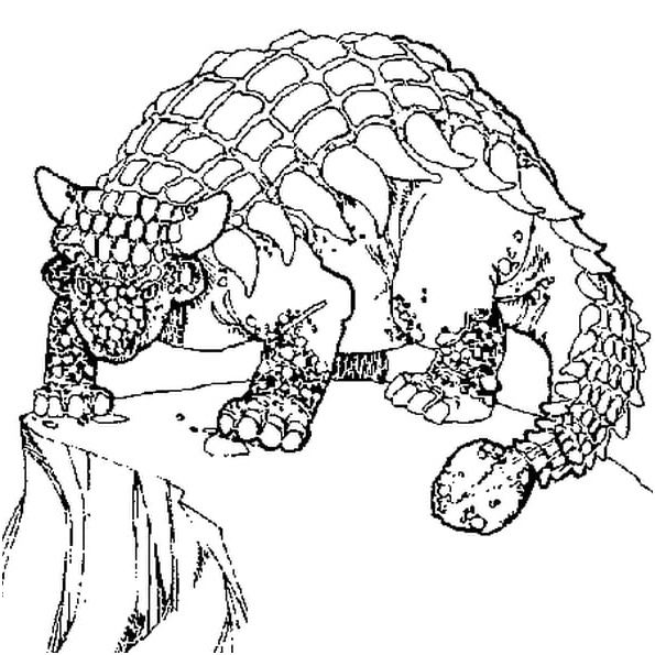 ankylosaure coloriage