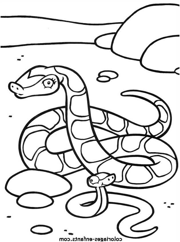 dessiner ligne python
