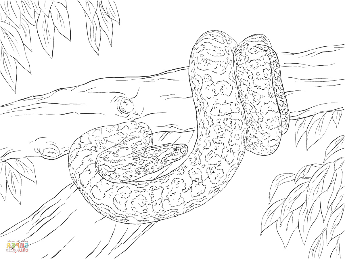 realistic snake drawing