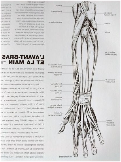 livre dessin anatomie pour artiste
