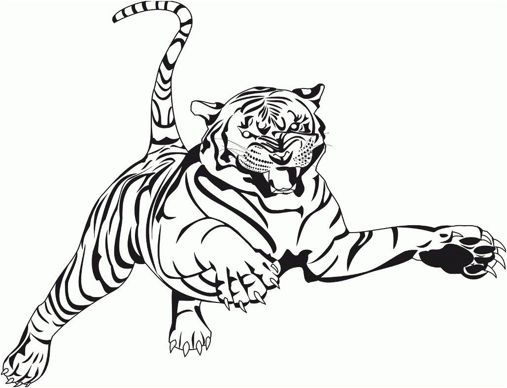apprendre a dessiner un tigre