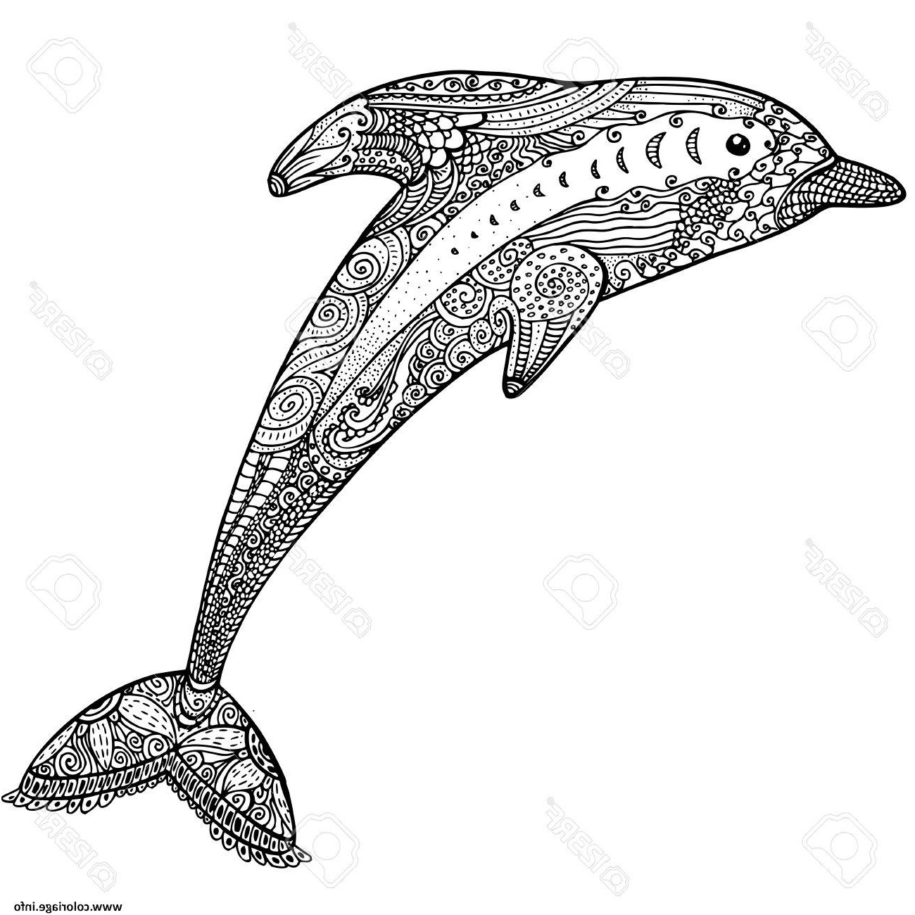 dauphin animaux dessin adulte zen difficile coloriage